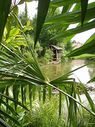 exotisch tuinieren